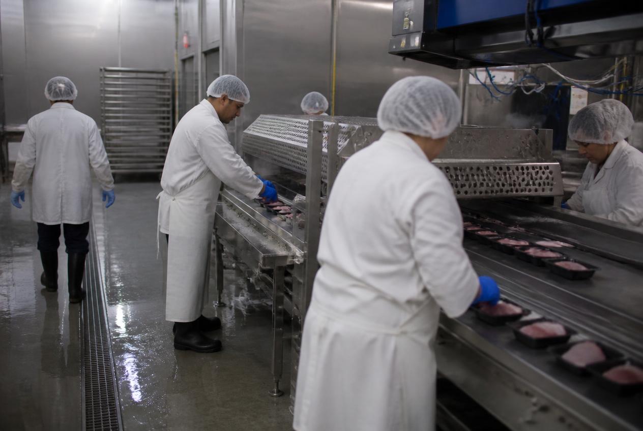 Food Processing Plants